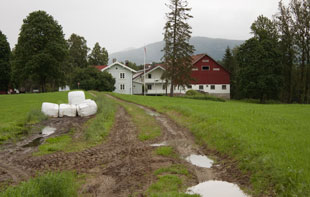 Bauernhof bei Rollag