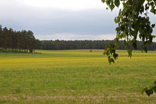 vor Strasen