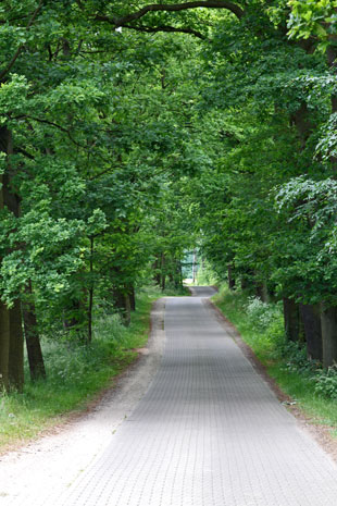 Zwischen Groß-Quassow und Usediner Mühle