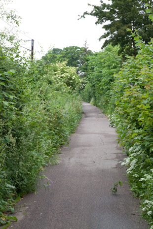 Radweg 9 von Kopenhagen nach  Helsingør