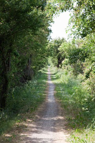 Radweg am Grønsund