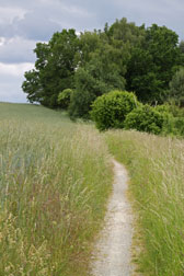 Aufstieg zum Wartberg