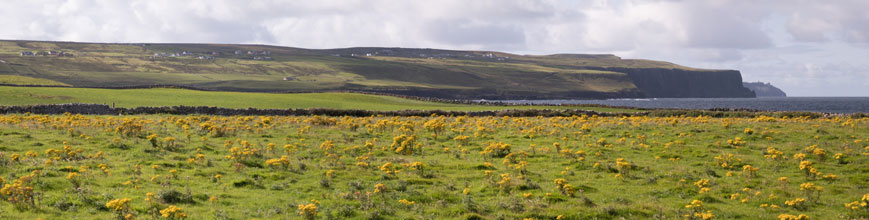 Blick von Doolin auf die Cliffs of Moher