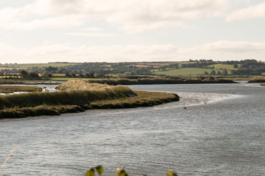 Westlich von Youghal am Dissour River