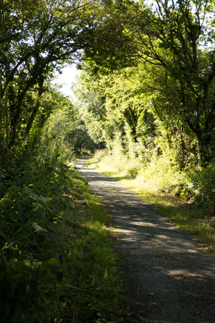 EV1 8 km nördlich von Sheepwash