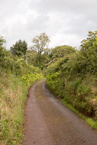 EV1 zwischen Ferryside und Carmarthen