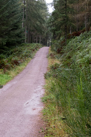 EV1 zwischen Aberfoyle und Loch Drunkie