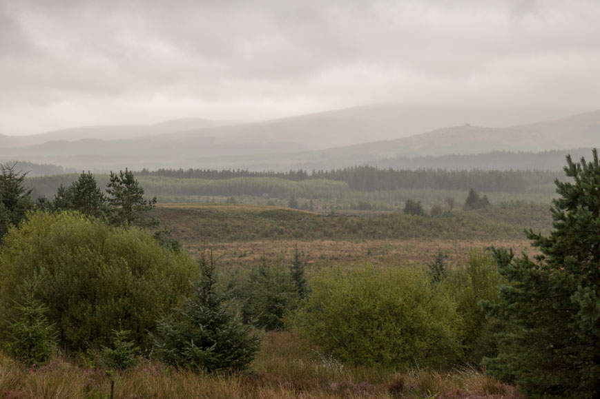 Galloway Forest Par