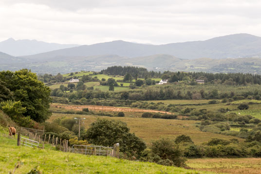 Zwischen Lismore und Youghal