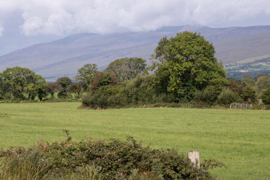 Höhenzug südlich von Tralee