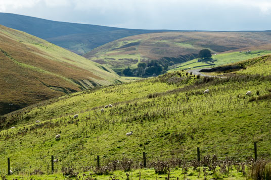 In den Bergen zwischen Edinburgh und Innerleithen