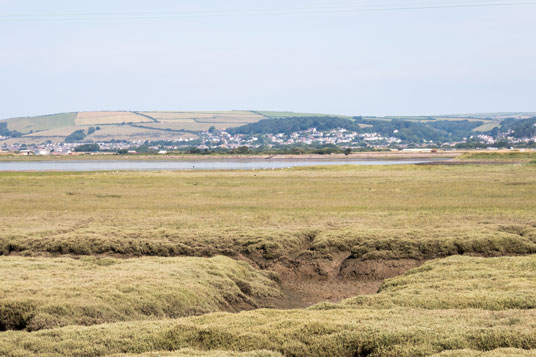 Taw River kurz vor Barnstaple