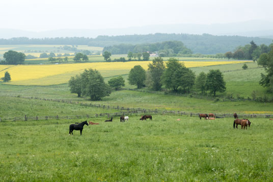 Landschaft bei Heftrich, 148,6 km ab Start