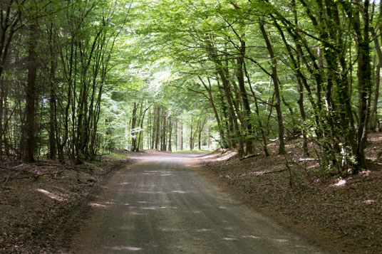 Limes-Radweg südlich von Weierhof, 10,7 km ab Start