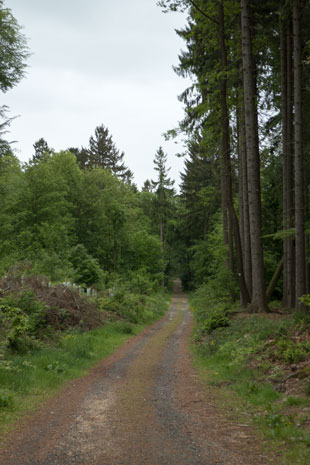 Limes-Radweg exakt auf dem Limes beim Wachtposten 2/5 bei Becheln, 79,3 km ab Start