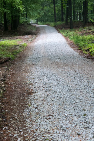 Limes-Radweg zwischen Glashütten und Rotes Kreuz mit über 20% Steigung, 159 km ab Start