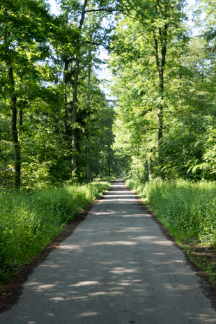 Limes-Radweg nördlich von Butzbach, 212,4 km ab Start