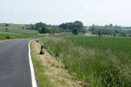 Limes-Radweg westlich von Pohlheim, 217 km ab Start