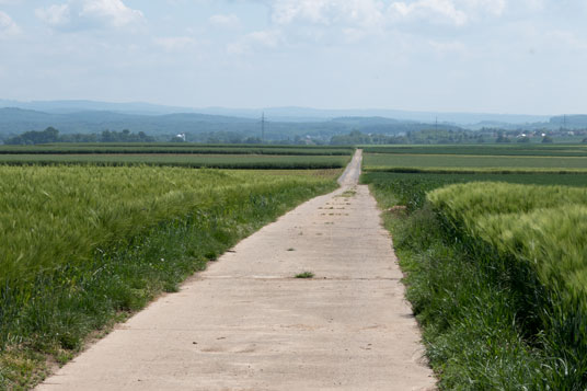 Limes-Radweg östlich von Bettenhausen, 232 km ab Start