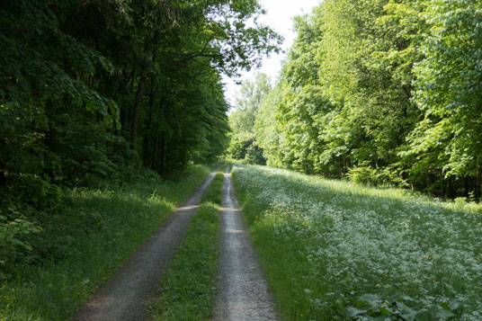 Limes-Radweg südlich von Walldürn, 394 km ab Start