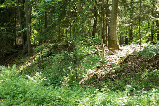 Auf dem Bruchkopf, Überreste des Limes-Walls, 272,5 km ab Start