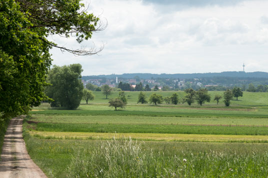 Blick vom Limes WP 9/64 "Am Römergraben" auf Mainhardt, 469 km ab Start