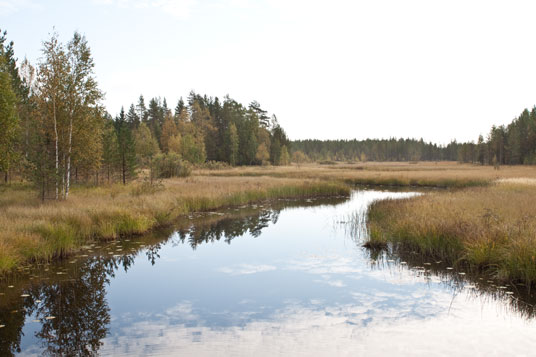 Alusvesi, Finnland