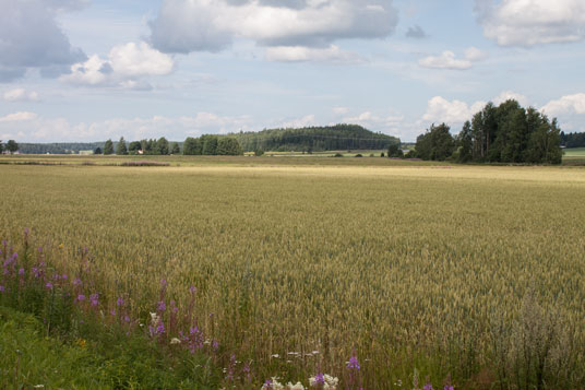 Zwischen Vikträsk und Sunnanvik, Finnland