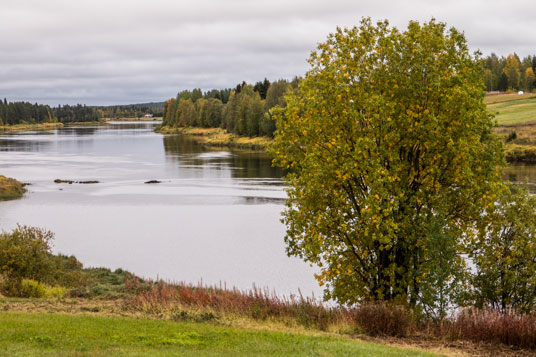 Bild: Fluss Pattasniva bei Savakoski