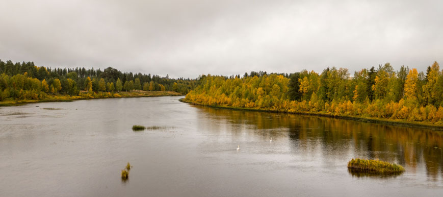 Bild: Fluss Tanhuansuvanto beim Abzweig der Piste Kuissuvannontie von der Teerstraße 967