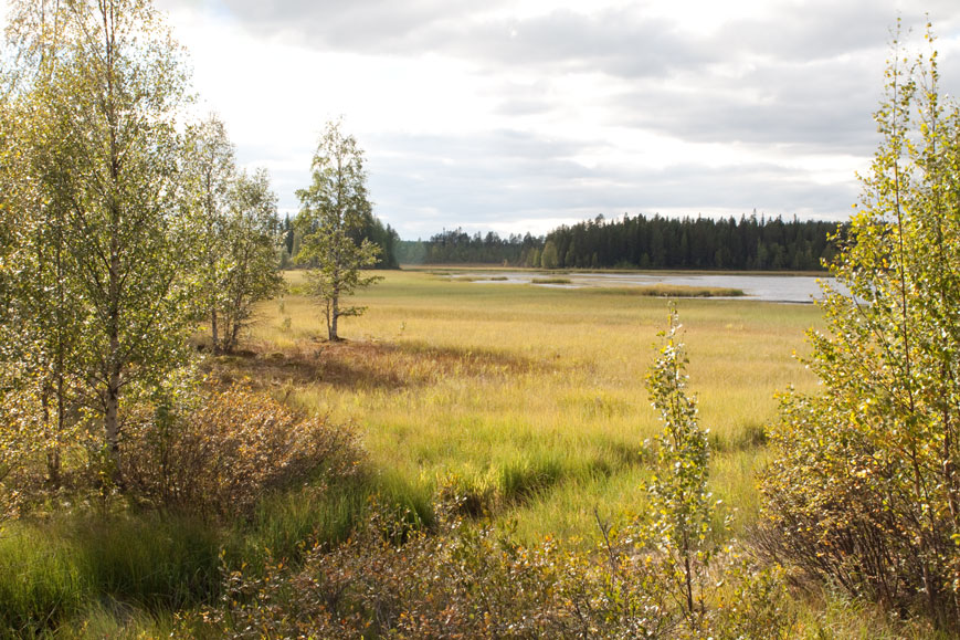 Kylmänjärvi, Finnland