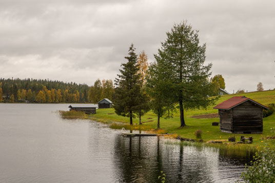 Bild: Weideland an einem See