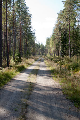 Piste am Kangasvesi, Finnland