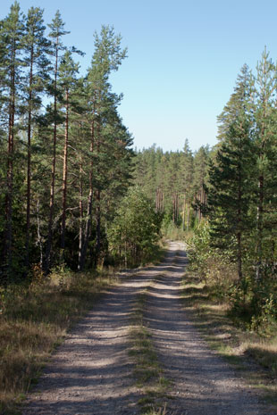 Parallel zur Nationalstraße 6 auf dem Radweg 6 durch Wald 110 km südlich von Mäntyharju, Finnland