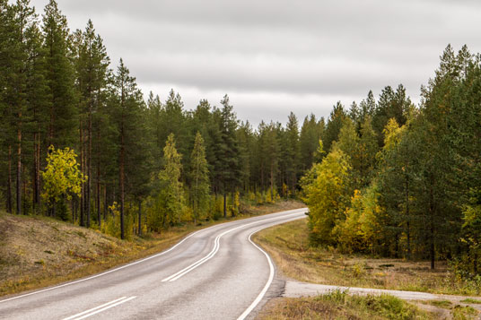 Bild: Straße 82 östlich von Salla