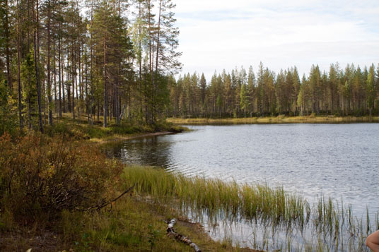 Camping Der See Ylimmäinen Jokijärvi, 49 km südlich von Kuhmo, Finnland