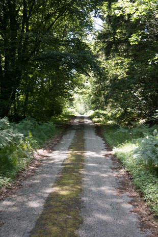 EV4 im Wald vor Belle Arrivée