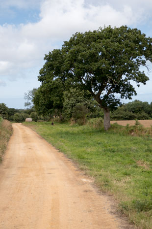 EV4 westlich von Treguier