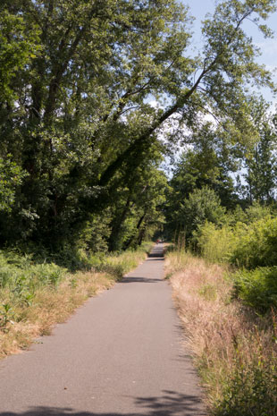 Eurovelo 1 auf alter Bahnstrecke bei Messanges