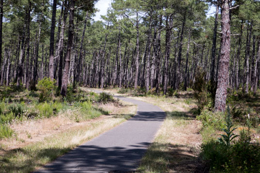 Eurovelo 1 nördlich von Biscarrosse Plage