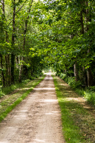 Bahnradweg bei Mûr-de-Bretagne