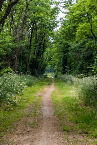 Beginn des Bahnradweges nach Morlaix