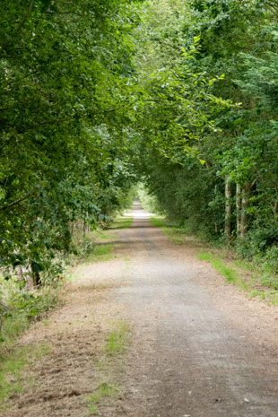 FV40 als Bahnradweg 4 km westlich von Domfront