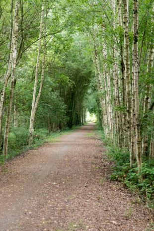 FV40 als Bahnradweg 8 km westlich von Domfront