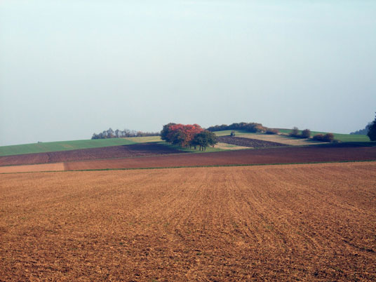 Bei Münzenberg