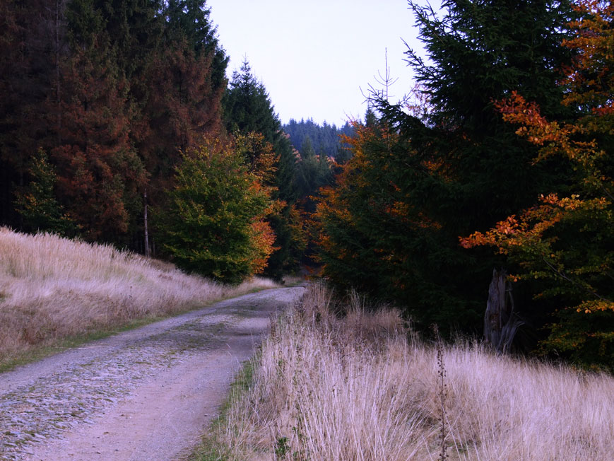 Ehemalige Führung des R6 durch den Kellerwald