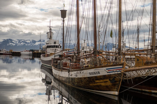 Bild: Húsavik mit dem Viknafjöll im Hintergrund