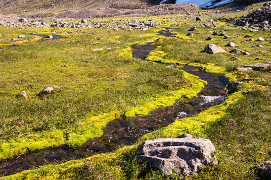 Viele Rinnsale aus Wasserfällen sind auf dem Weg zum Gletscher zu queren