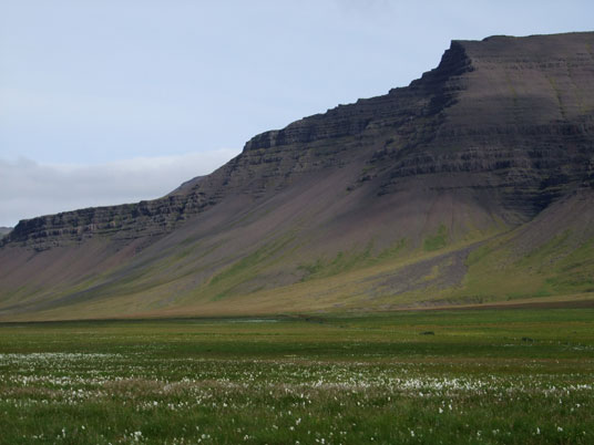 Steil erheben sich die Berge über die Grasebene an der Südküste von Snæfellsnes