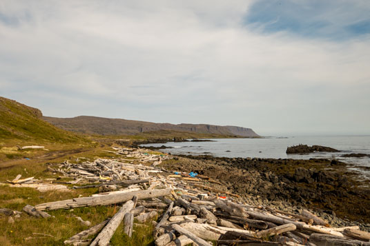 Strandholz an der Küstenlinie